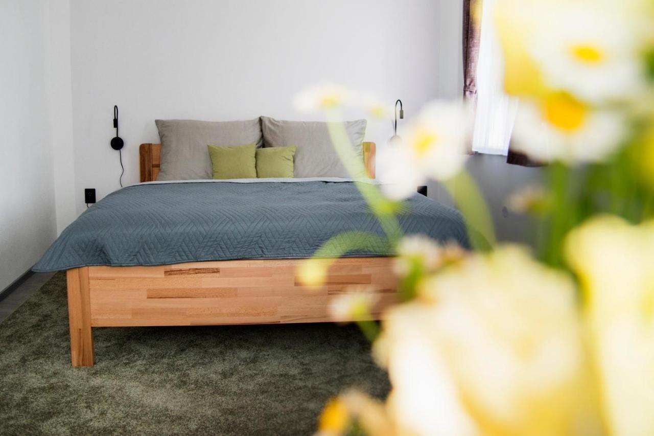 Apartmany Golias Krásná Lípa Extérieur photo